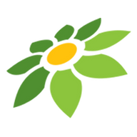 JADI AFFILIATE TOKOPEDIA